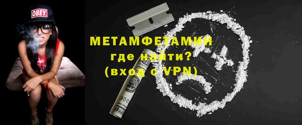 прущие грибы Бородино