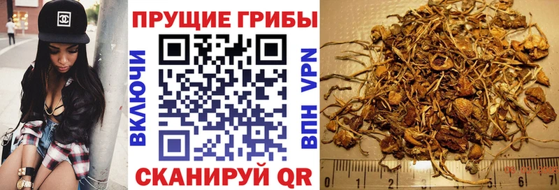 Галлюциногенные грибы ЛСД  OMG как войти  Ейск 
